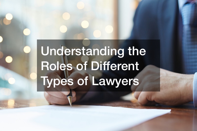Understanding the Roles of Different Types of Lawyers