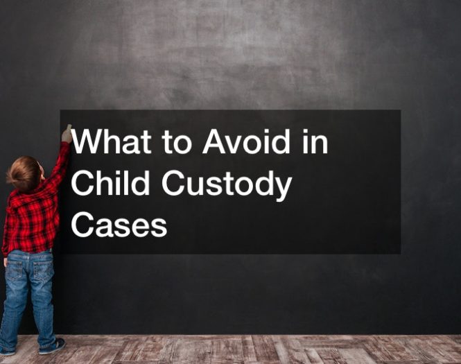 What to Avoid in Child Custody Cases